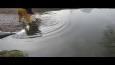 Uitzetting Karpers Lukwelpark 014