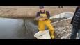 Uitzetting Karpers Lukwelpark 019