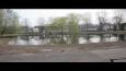 Uitzetting Spiegelkarpers Lukwelpark 010 (Small)