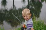 forelle vissen met de jeugd