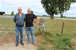 3e en laatste feeder wedsrijd 2025